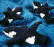 Orca Mittens